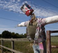 Scarecrow advertising Larke fayre