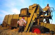 Harvest with Combine, Norfolk 2009 by Justin Partyka