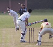 Cricket Club v High School T20